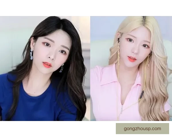 仙踪林网站入口欢迎您免费进入大陆畅享精彩资源平台全新体验尽在这里